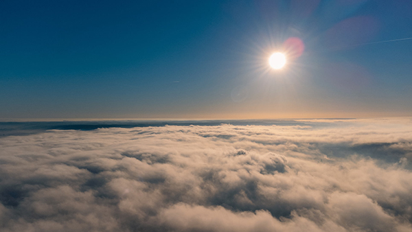 画鱼古诗写了什么