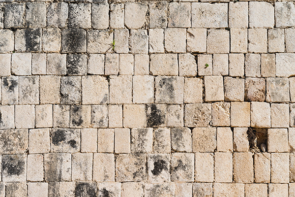 饮酒古诗陶渊明