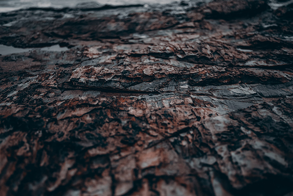 九日登清水营城诗文