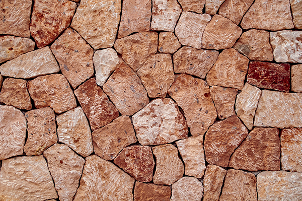 重阳节白居易的诗