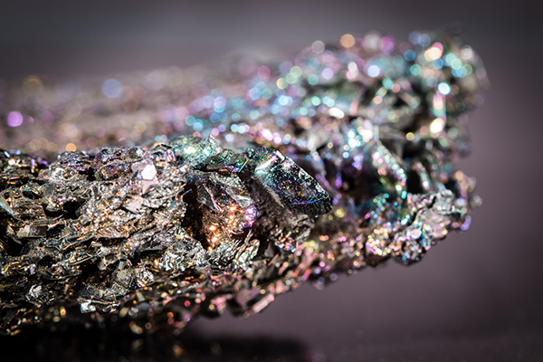 芦可以组什么词