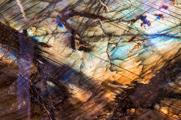 陆游诗词大全晚春感怀