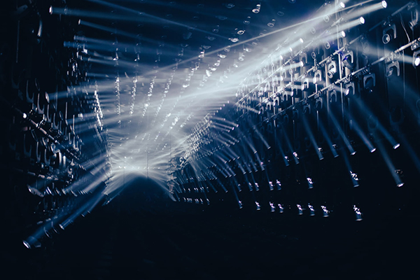 时时自有是什么动物