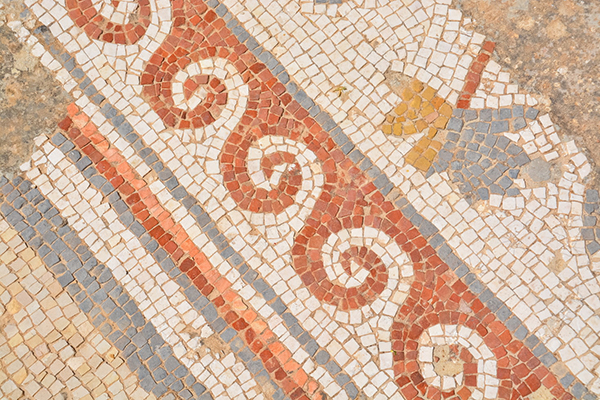 诗经樛木赏析文600字