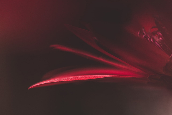 形容一个人对自己好的句子