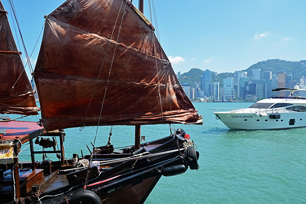 陆游 《枯菊》欣赏